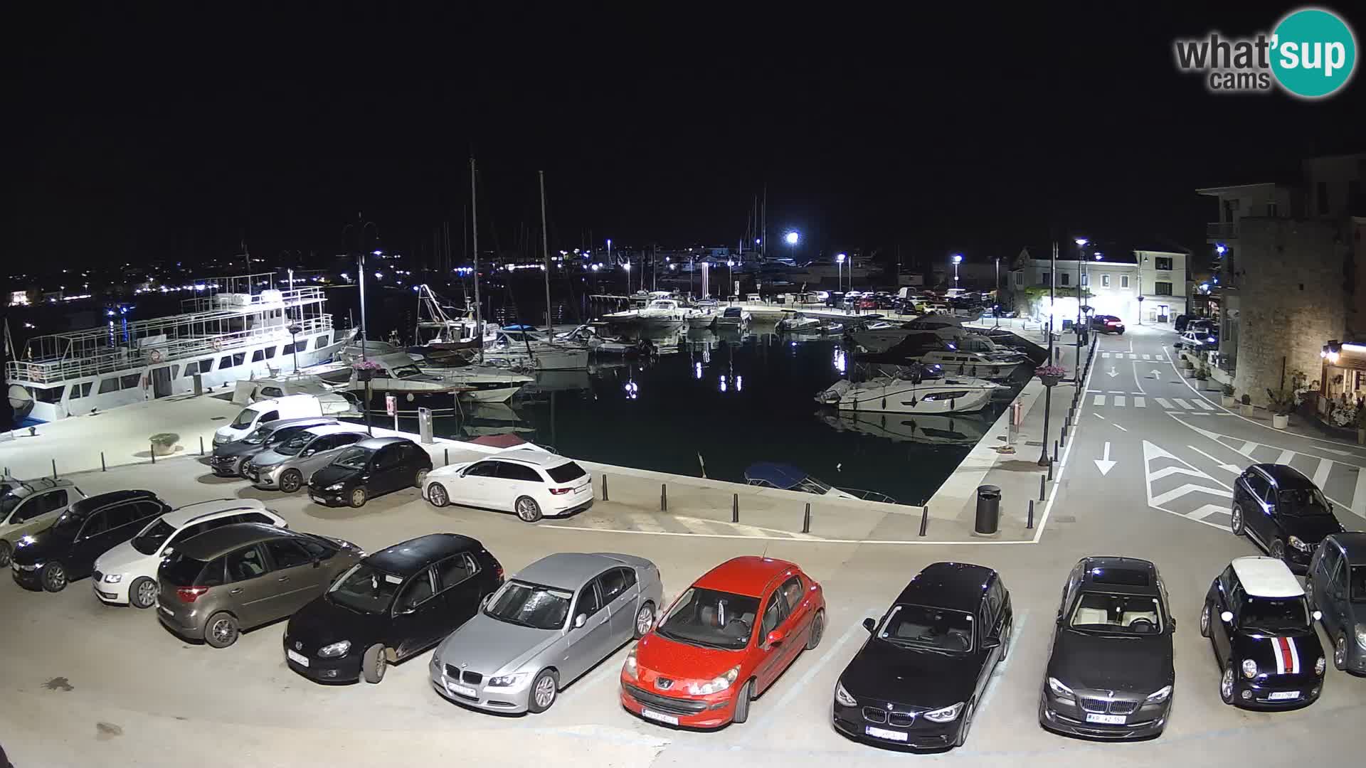 Novigrad | Porporela marina