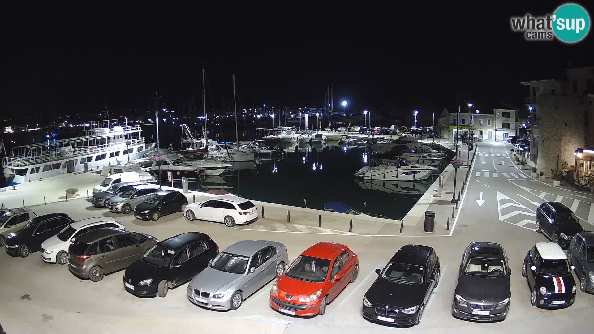 Novigrad | Porporela marina