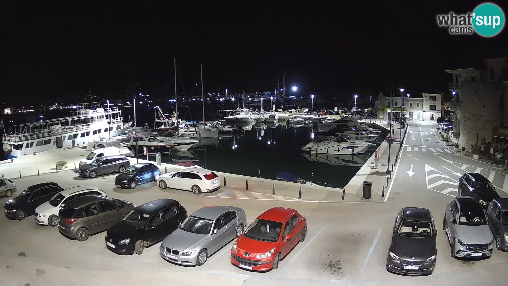 Novigrad | Porporela marina
