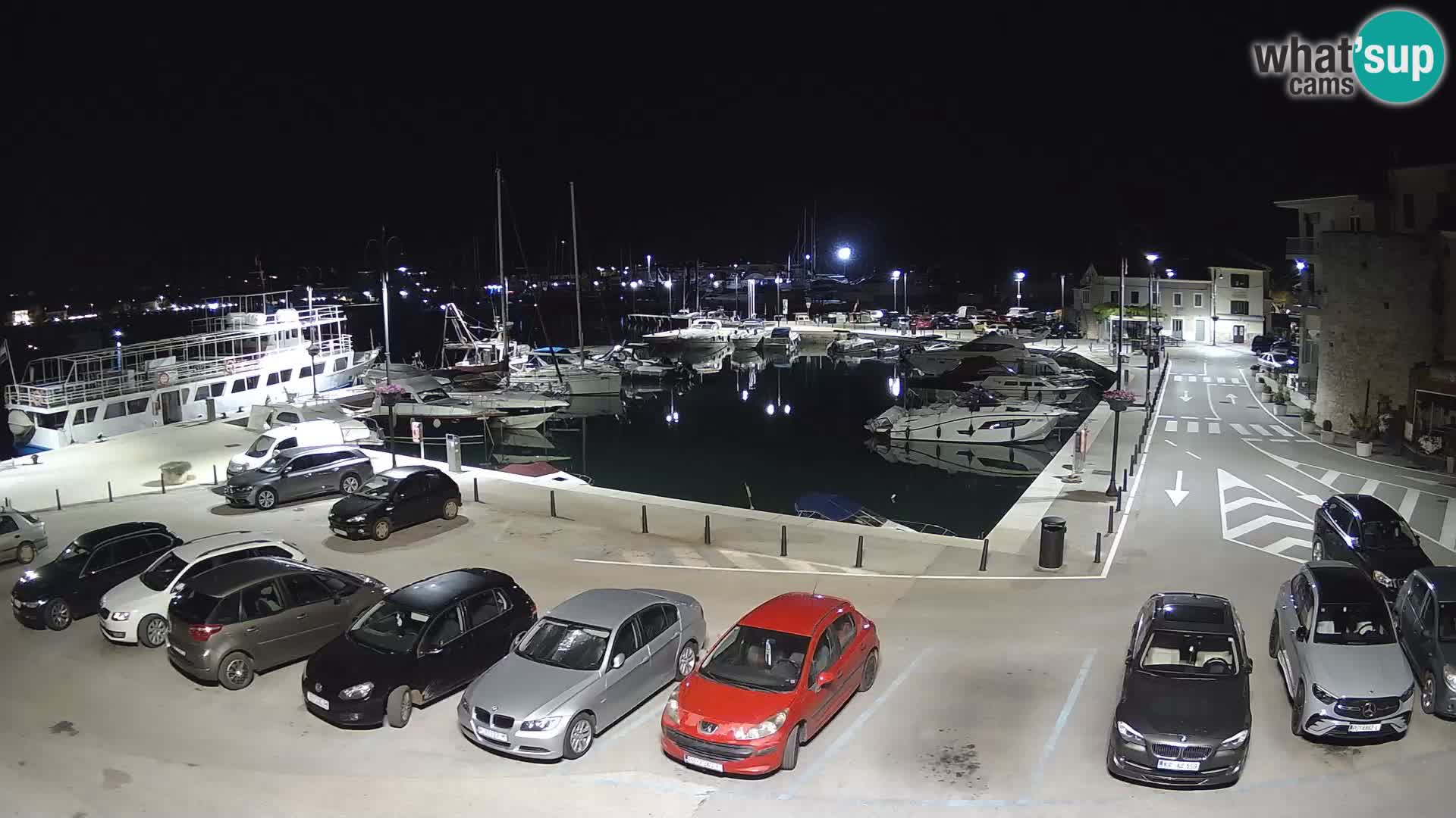 Novigrad | Porporela marina