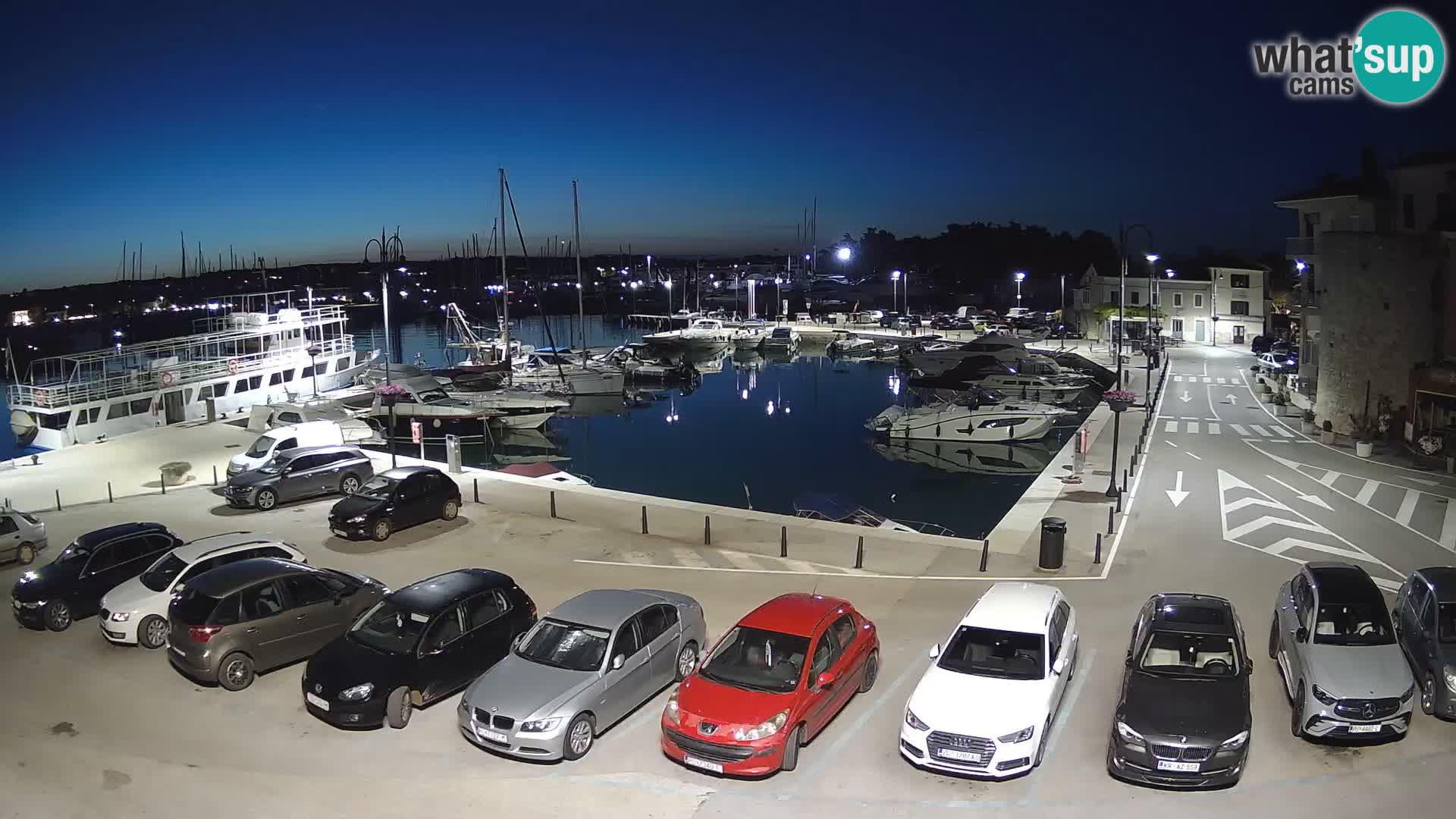 Novigrad | Porporela marina