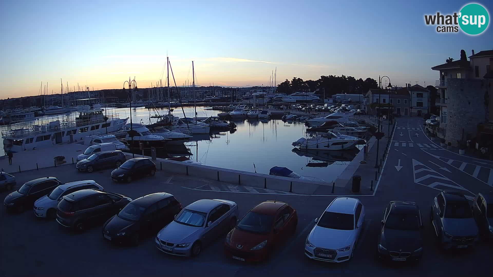 Novigrad | Porporela marina