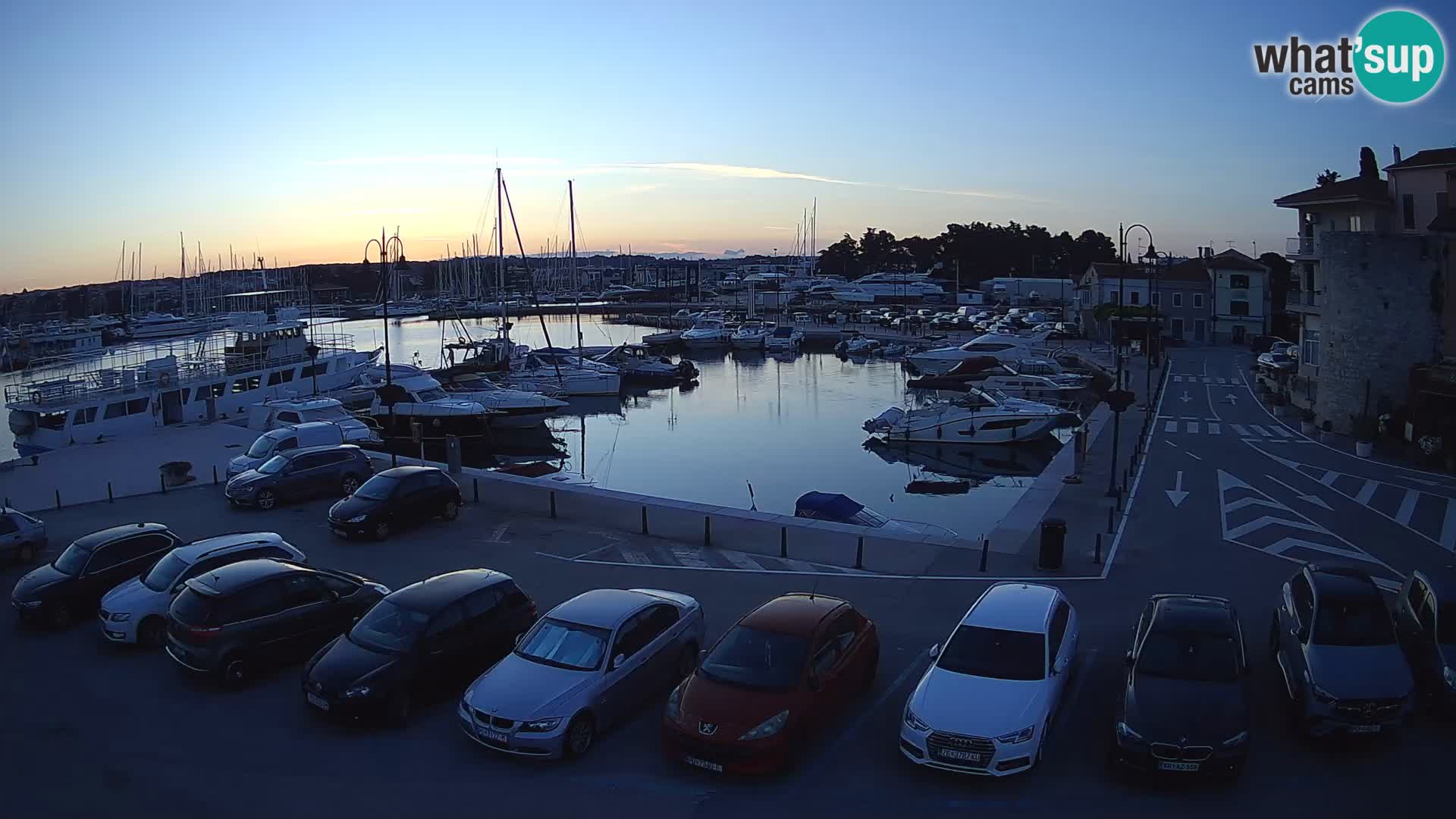 Novigrad | Porporela marina