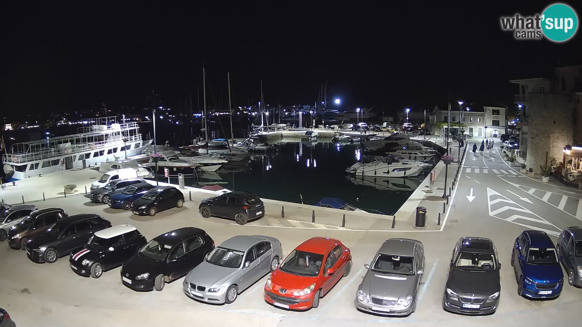 Novigrad | Porporela marina
