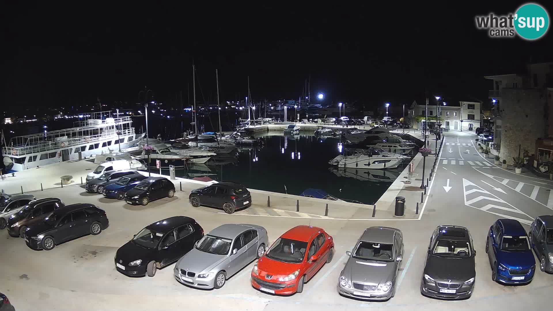 Novigrad | Porporela marina