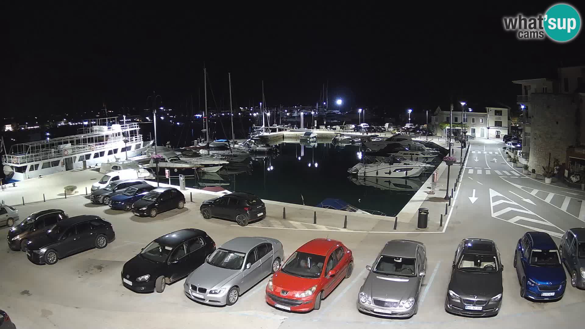 Novigrad | Porporela marina