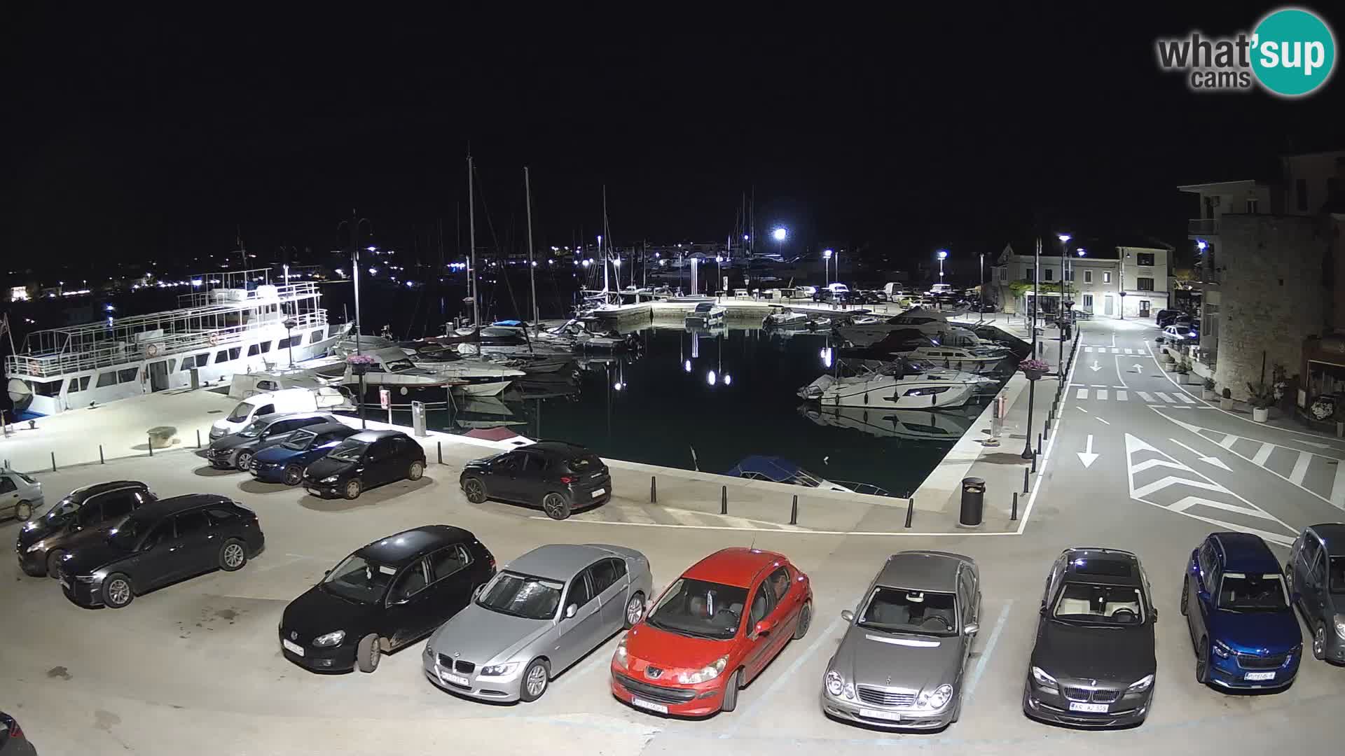 Novigrad | Porporela marina