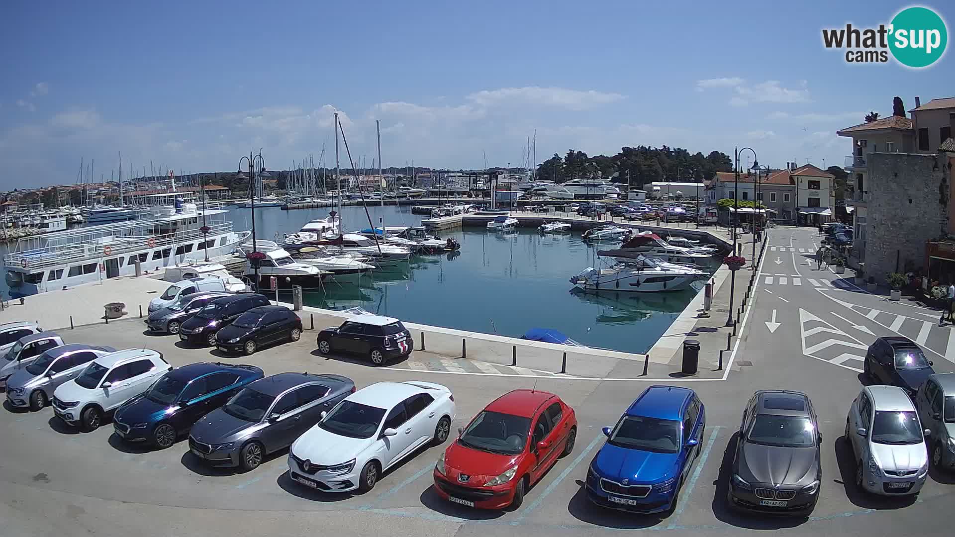 Novigrad | Porporela marina