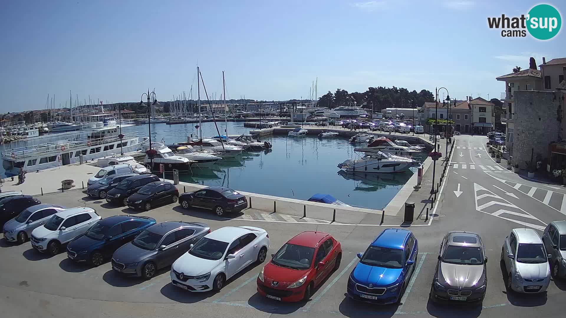 Novigrad | Porporela marina