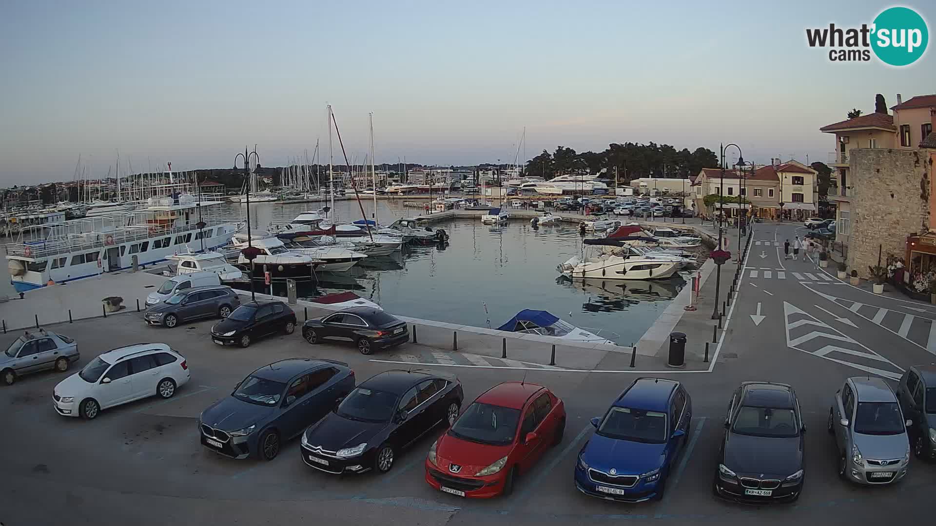 Novigrad | Porporela marina