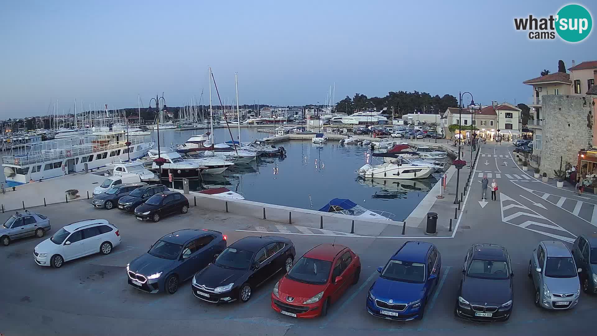 Novigrad | Porporela marina