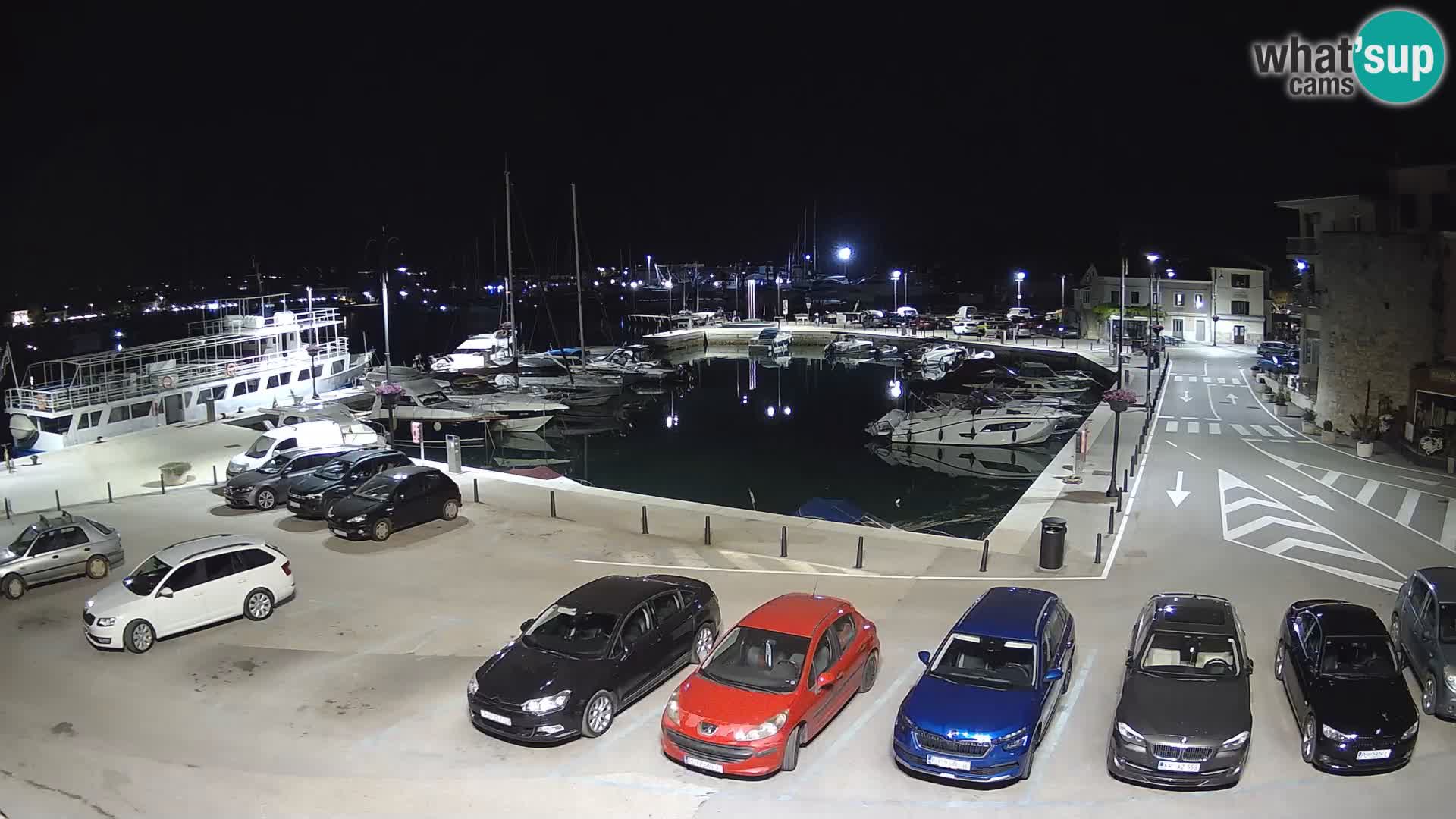 Novigrad | Porporela marina