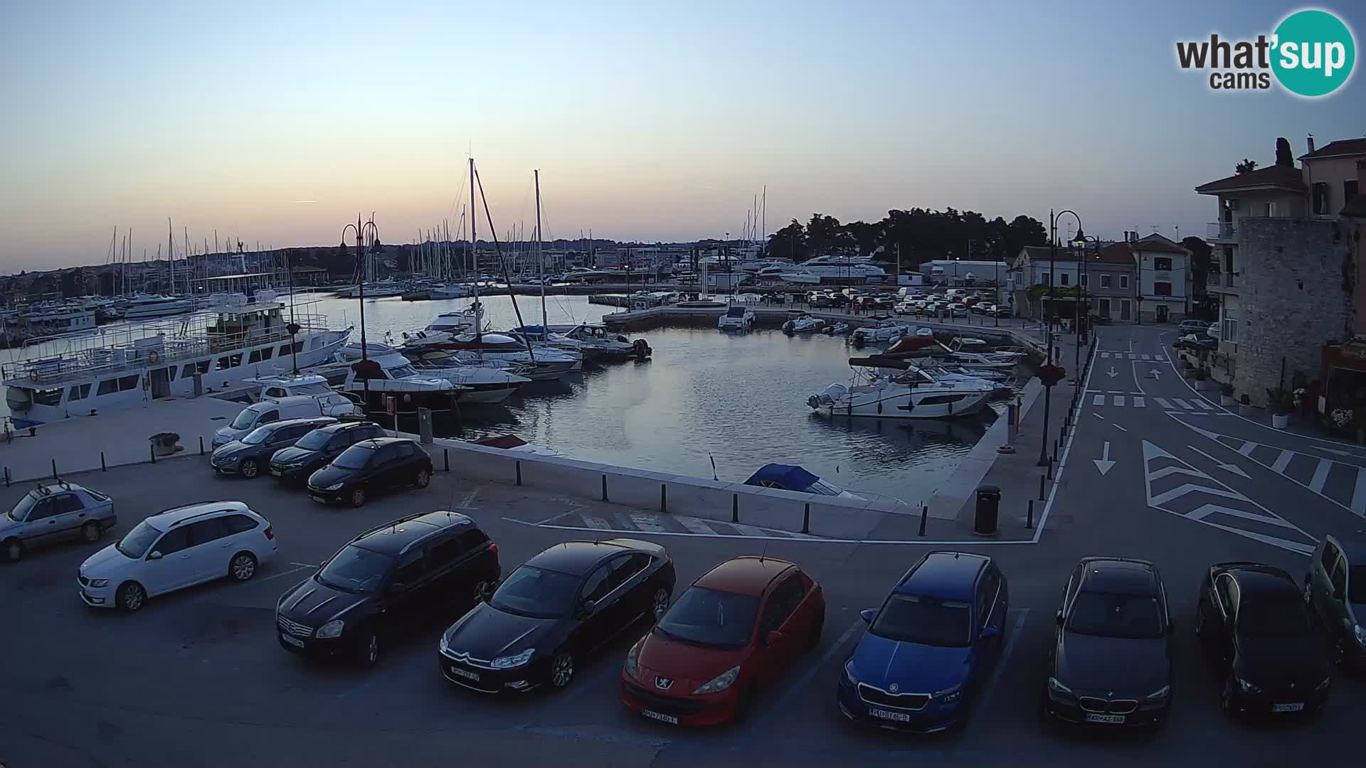 Novigrad | Porporela marina