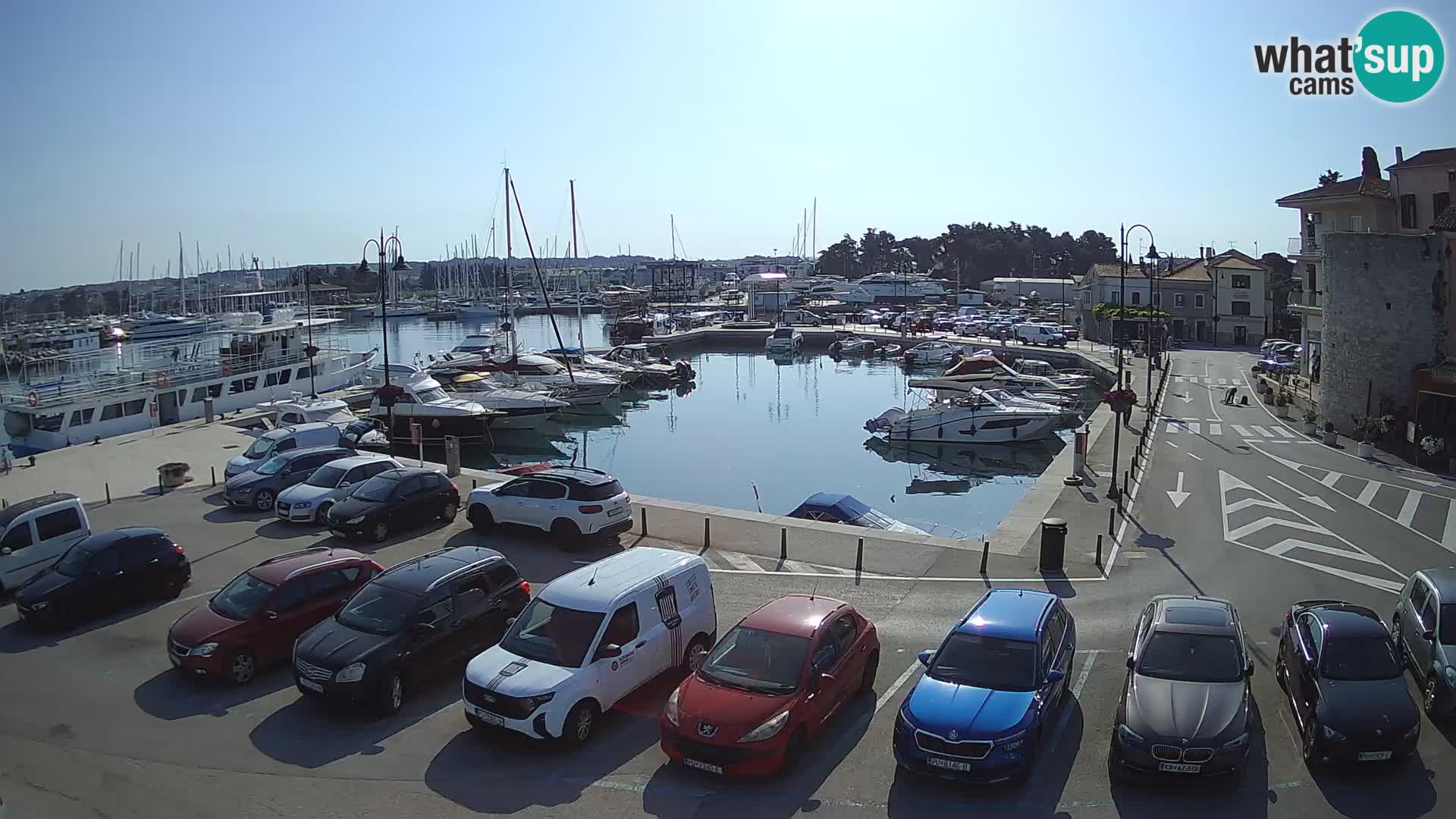 Novigrad | Porporela marina
