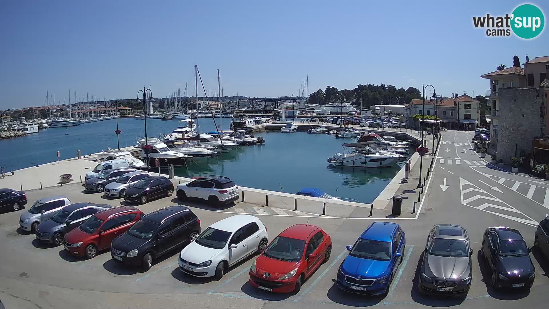 Novigrad | Porporela marina