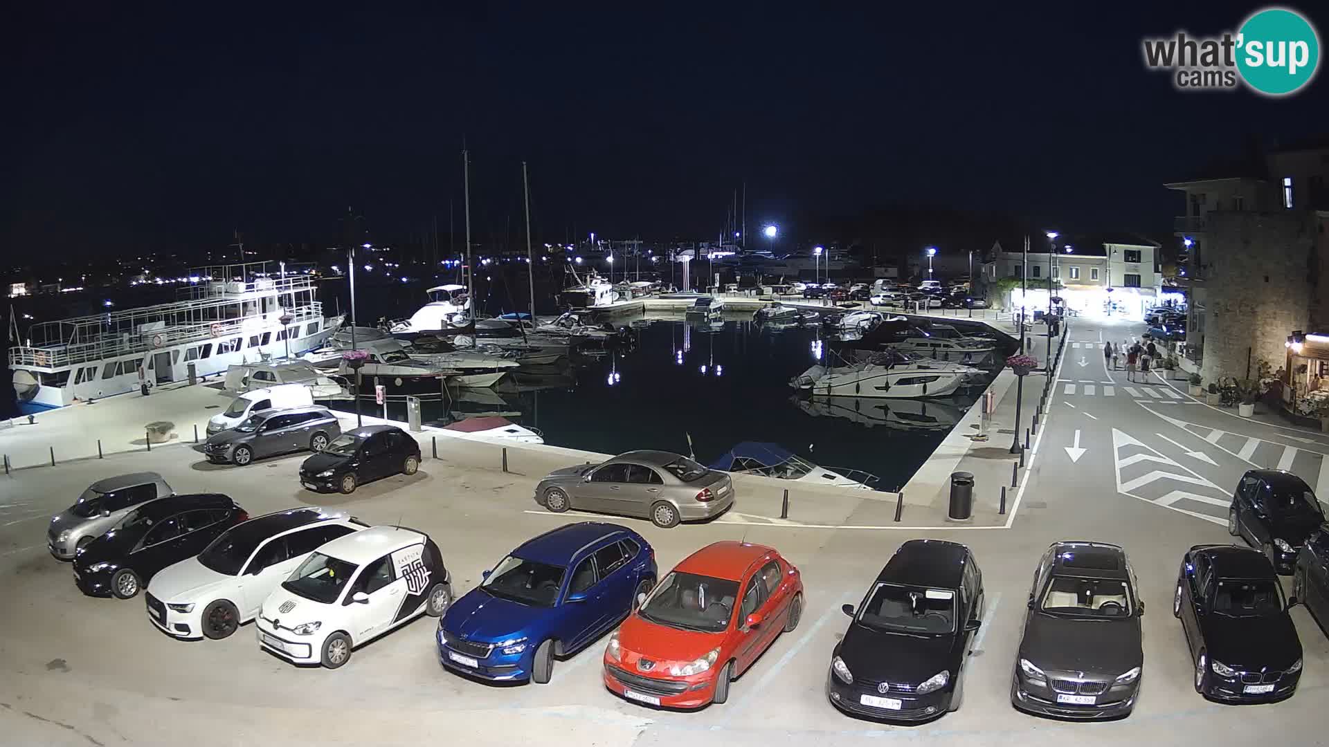 Novigrad | Porporela marina
