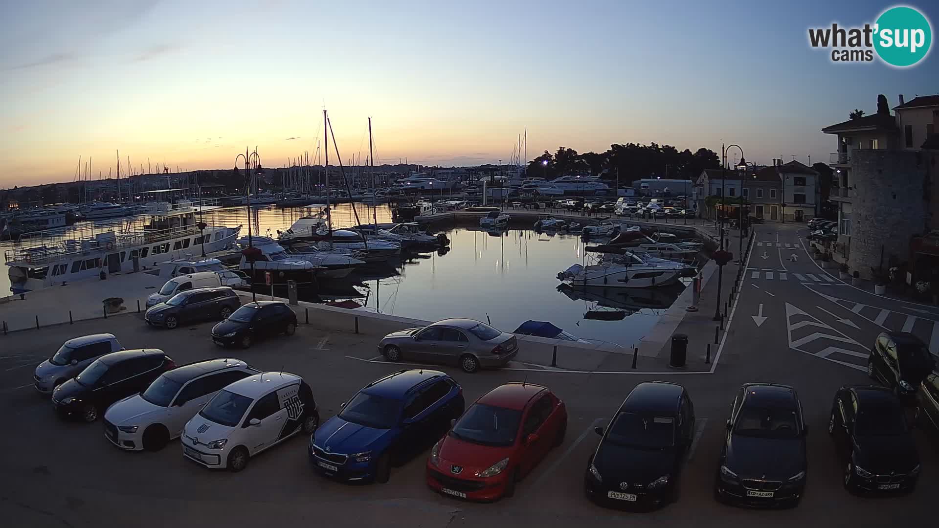 Novigrad | Porporela marina