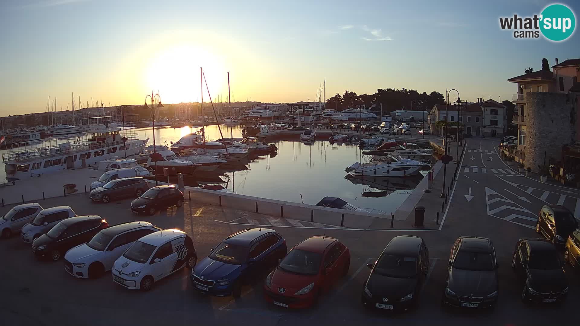 Novigrad | Porporela marina