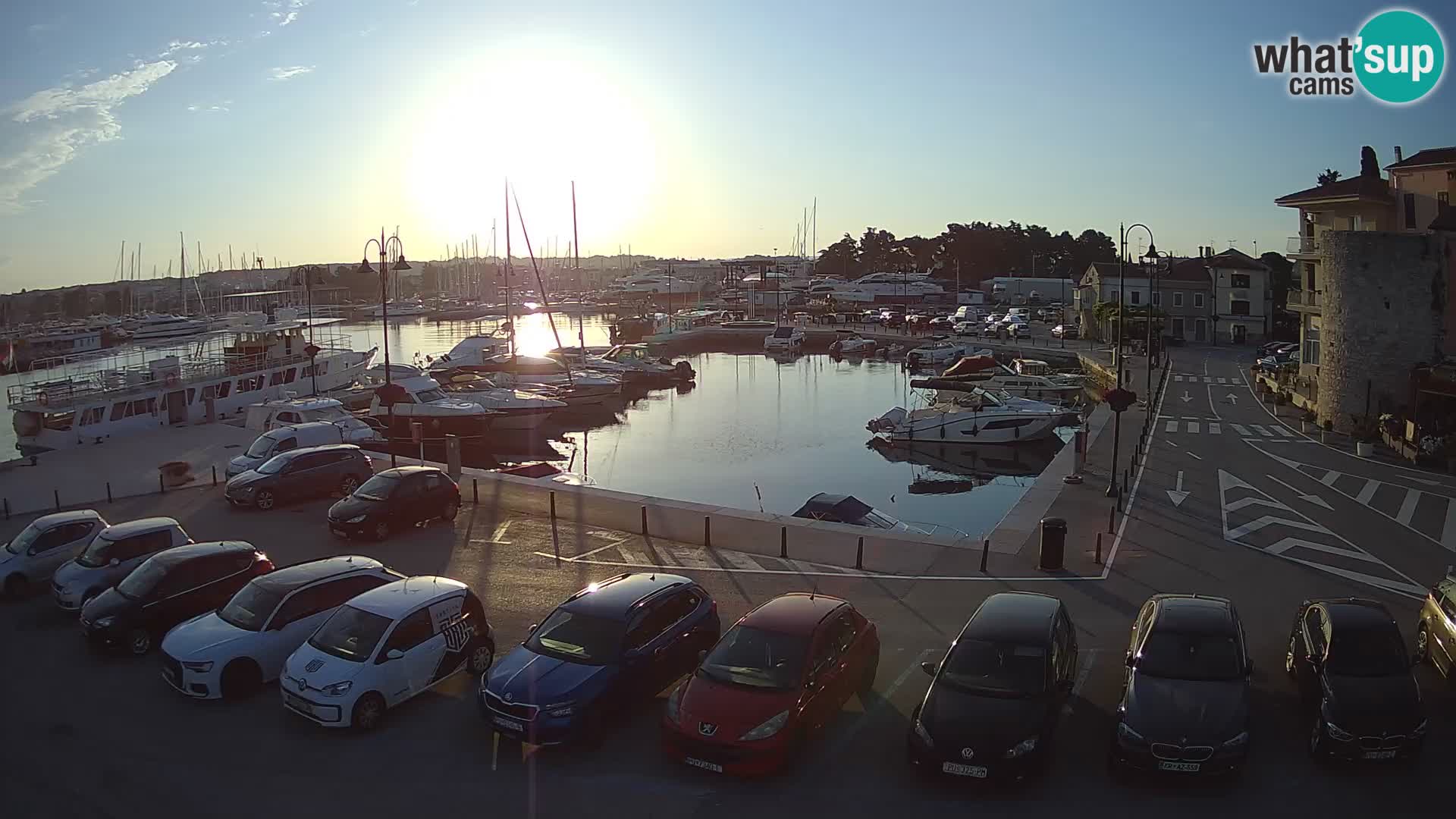 Novigrad | Porporela marina