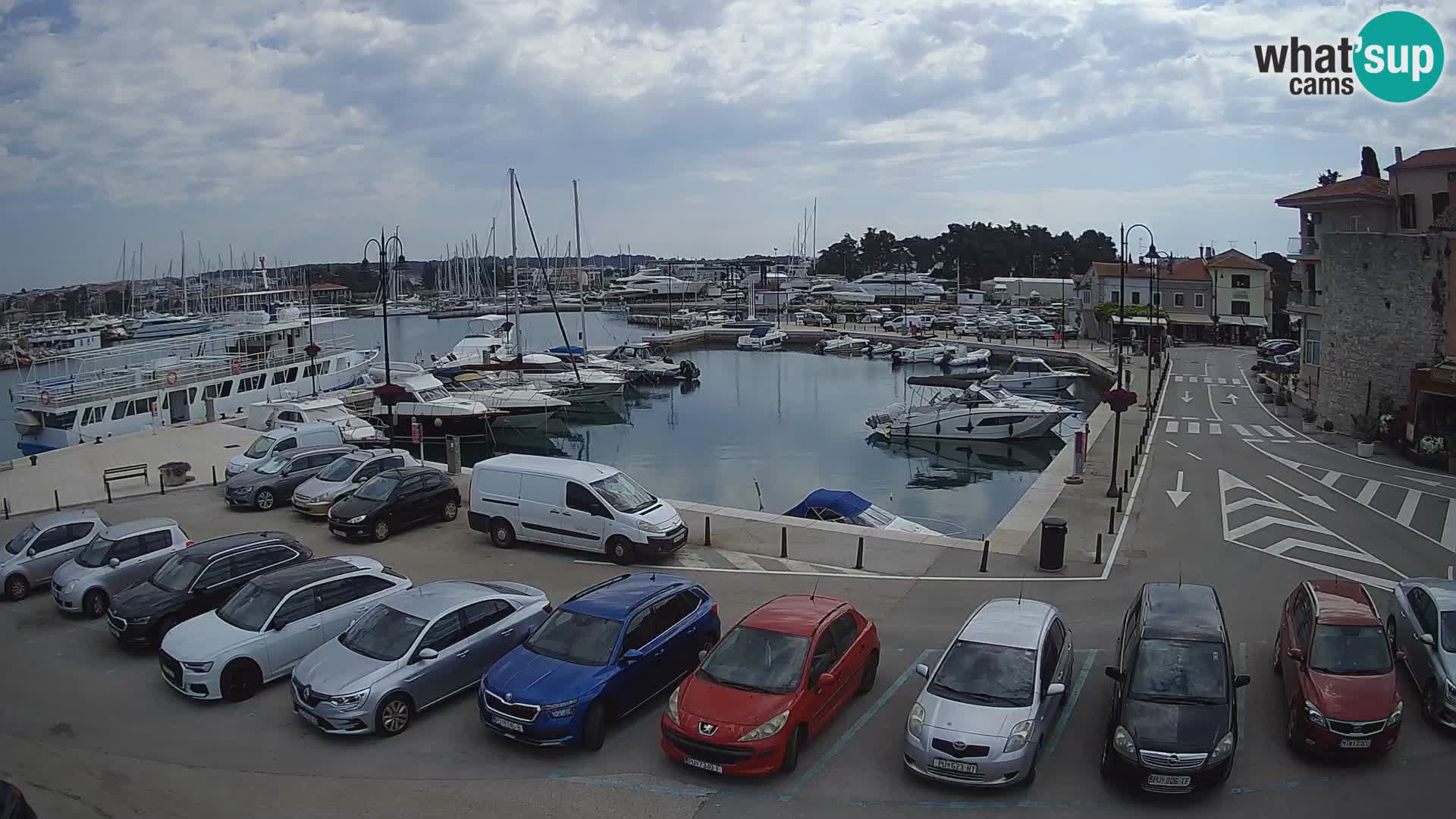 Novigrad | Porporela marina