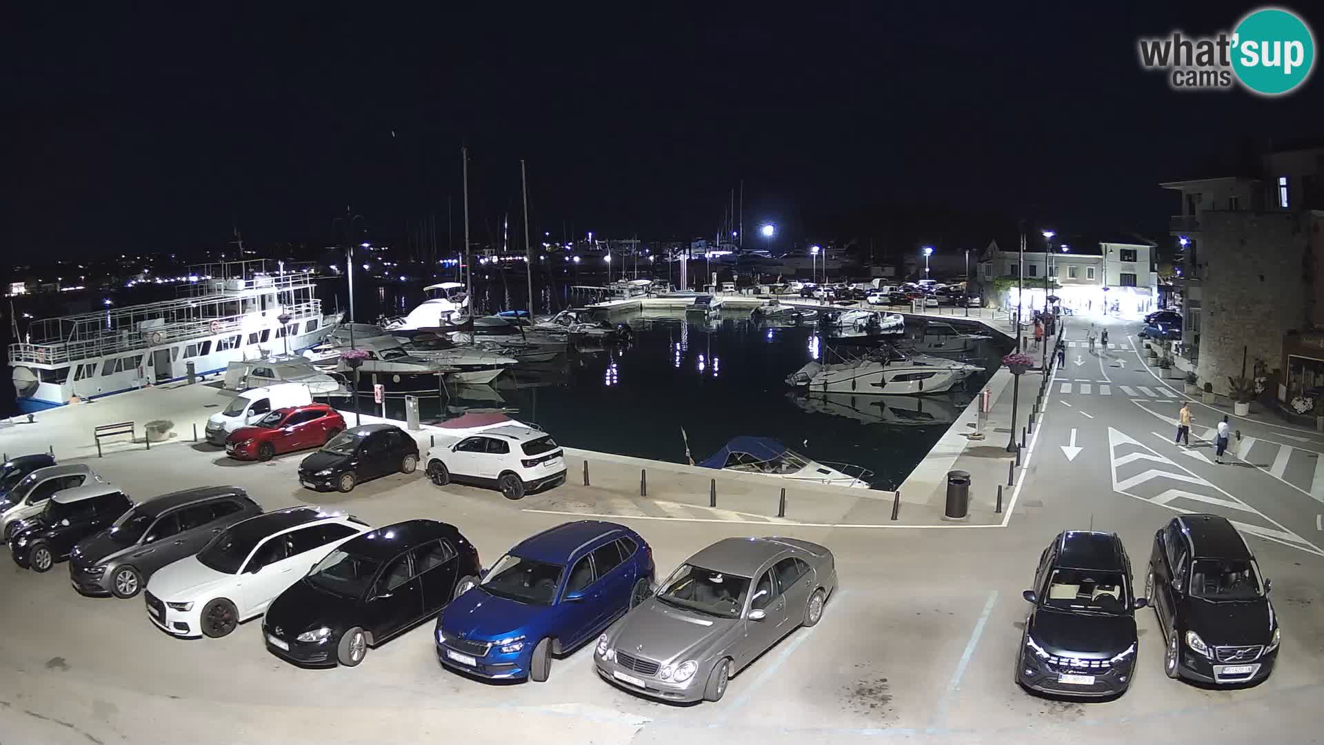 Novigrad | Porporela marina