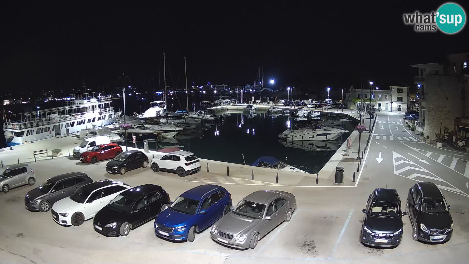 Novigrad | Porporela marina