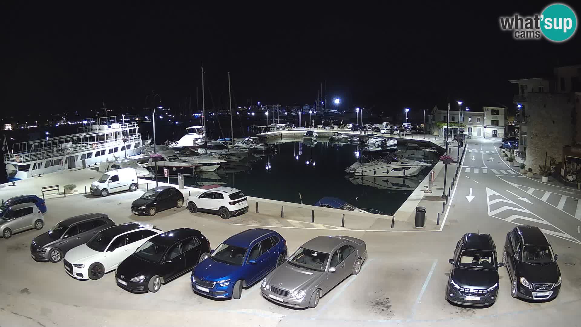 Novigrad | Porporela marina