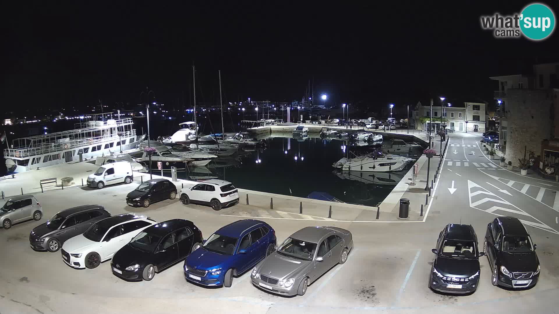 Novigrad | Porporela marina
