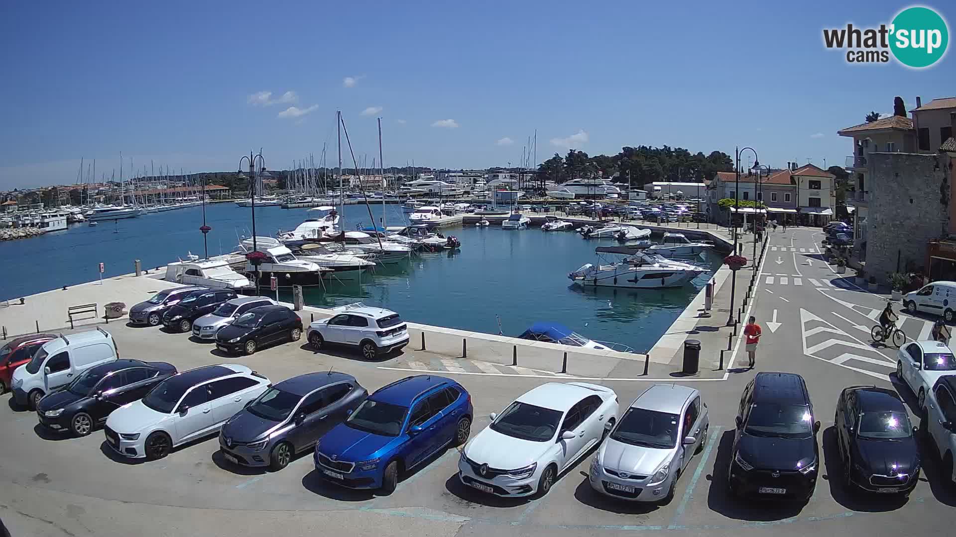 Novigrad | Porporela marina