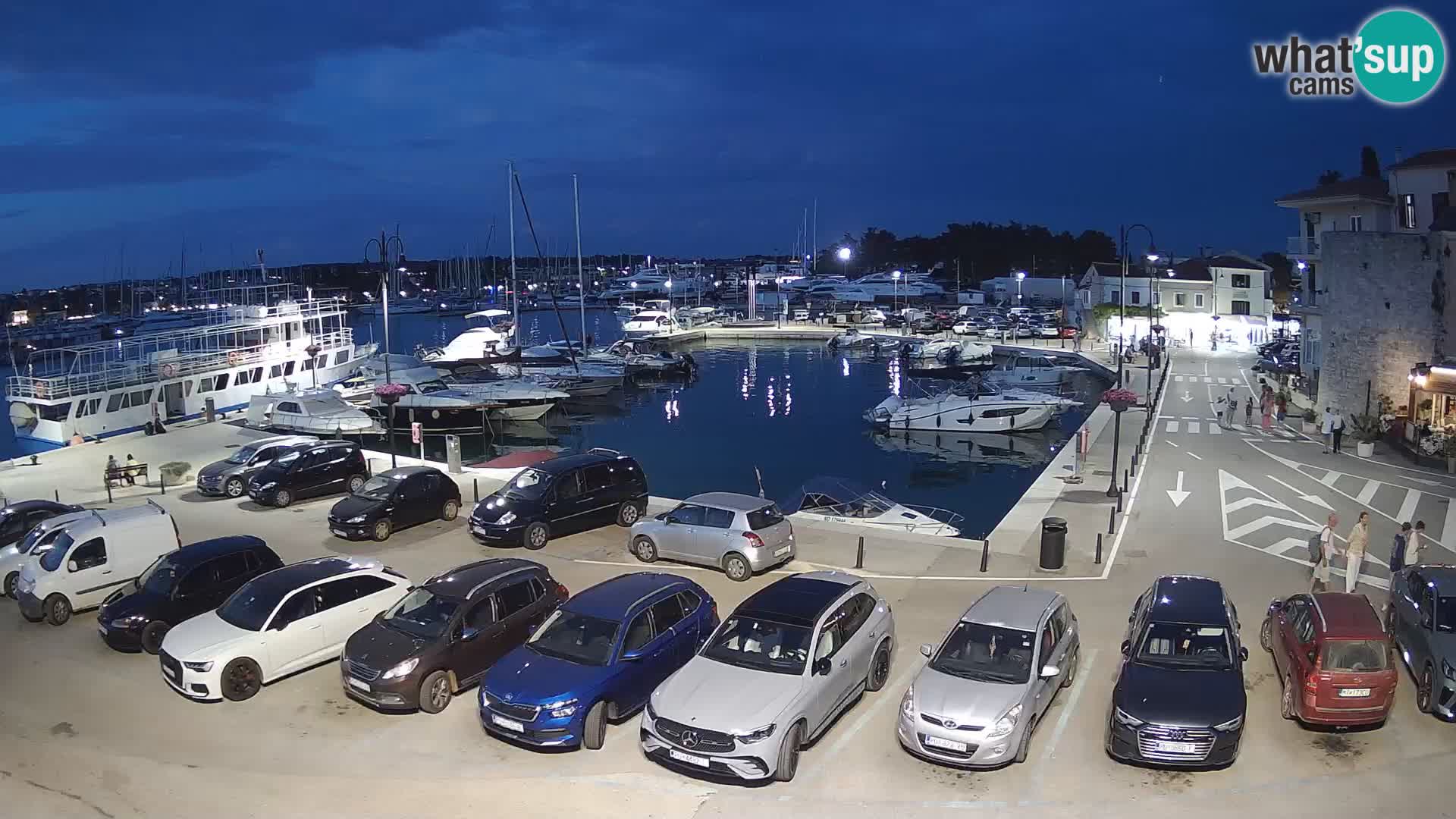 Novigrad | Porporela marina