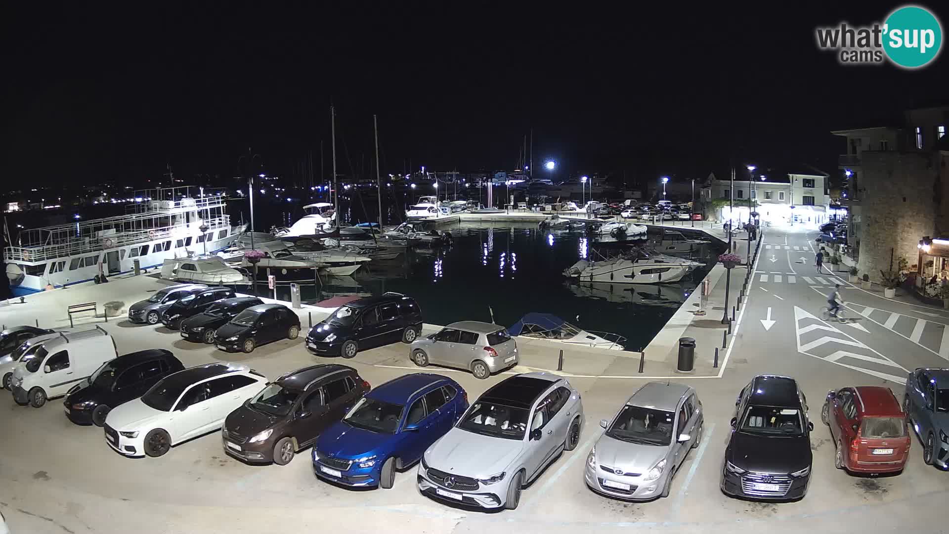 Novigrad | Porporela marina