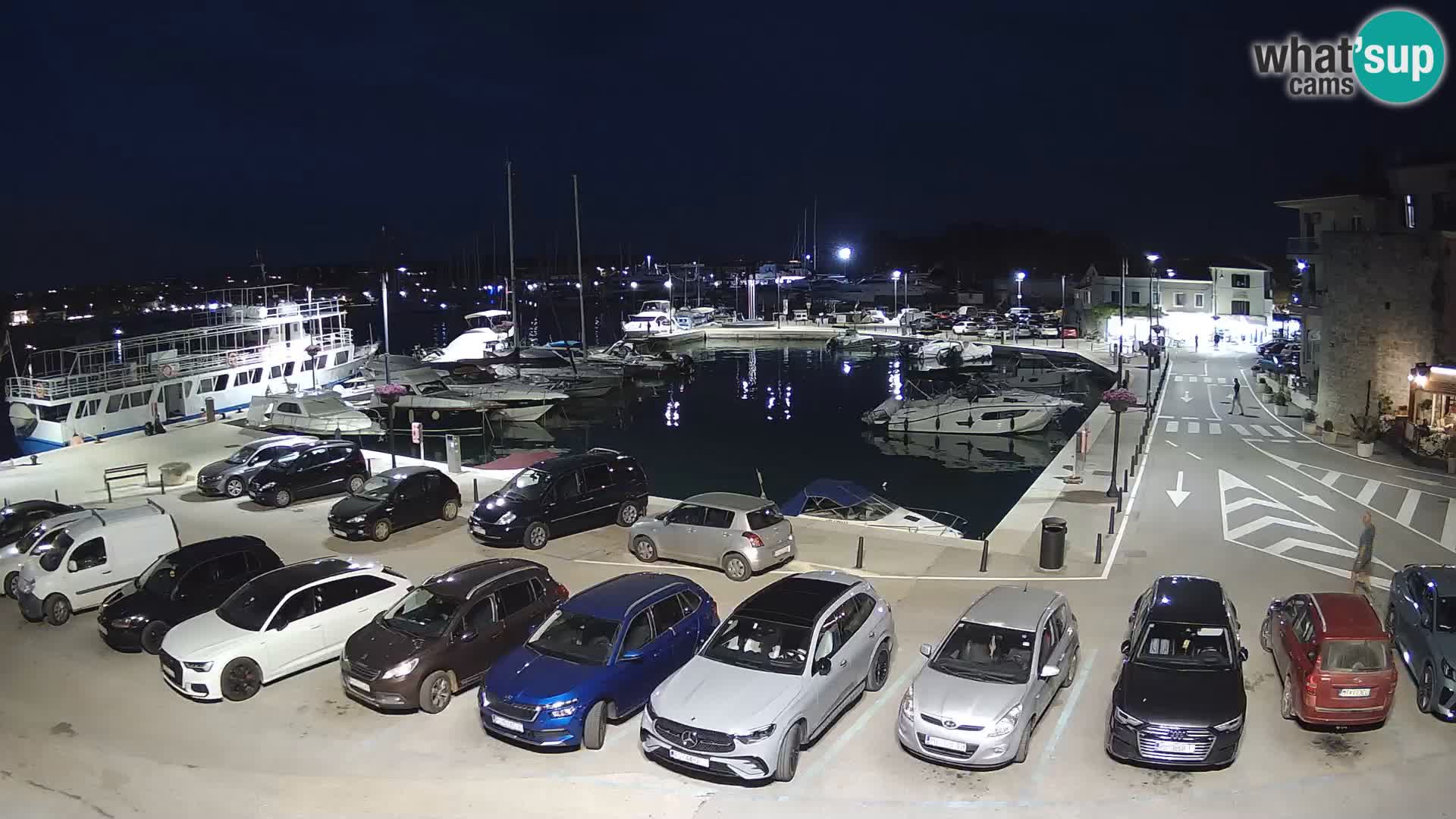 Novigrad | Porporela marina