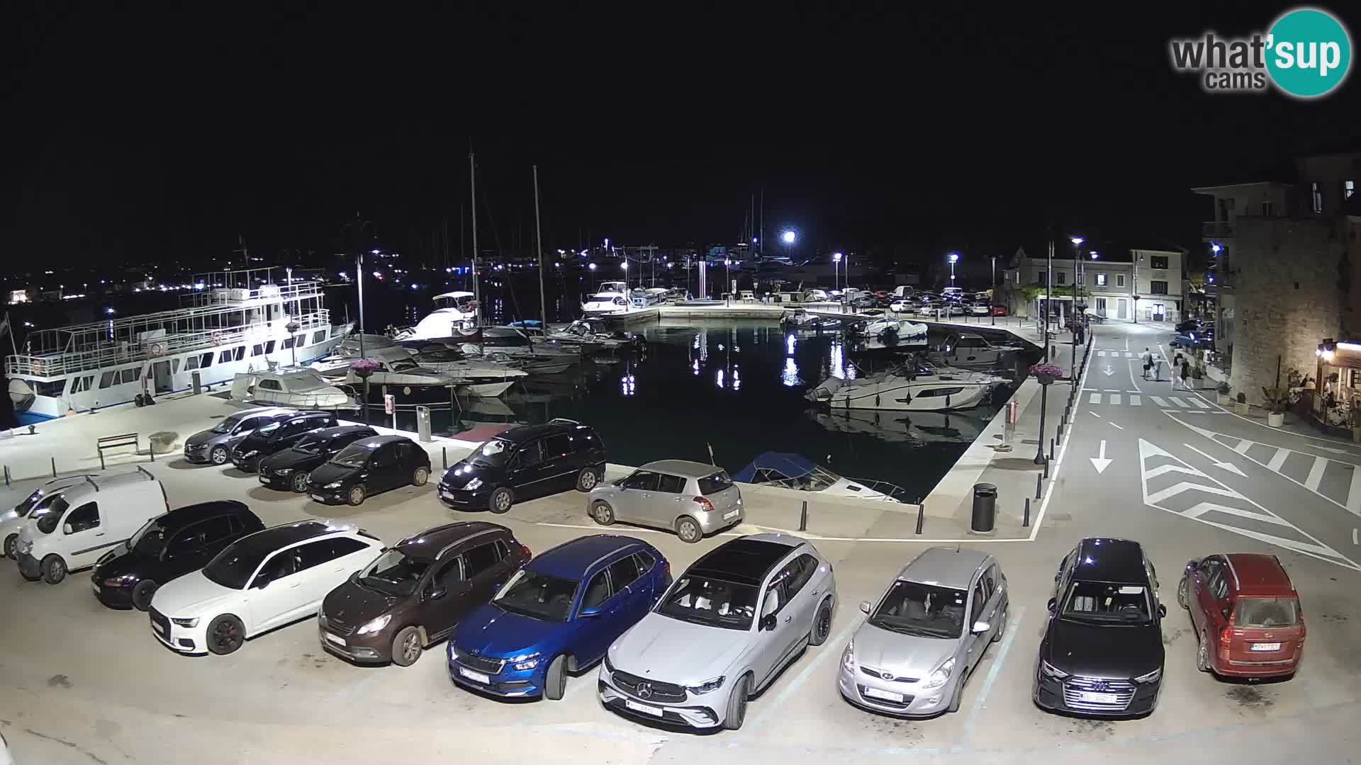 Novigrad | Porporela marina