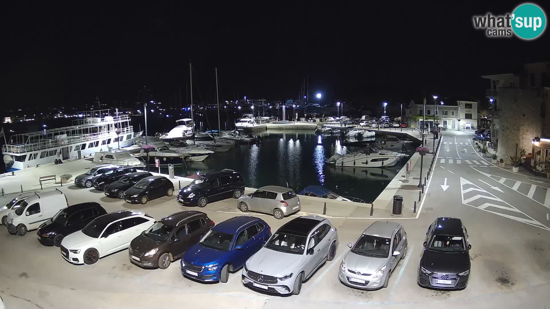 Novigrad | Porporela marina