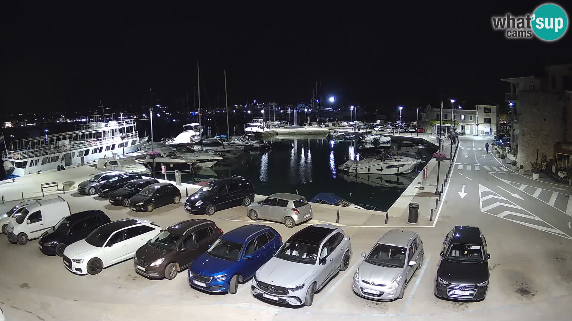 Novigrad | Porporela marina