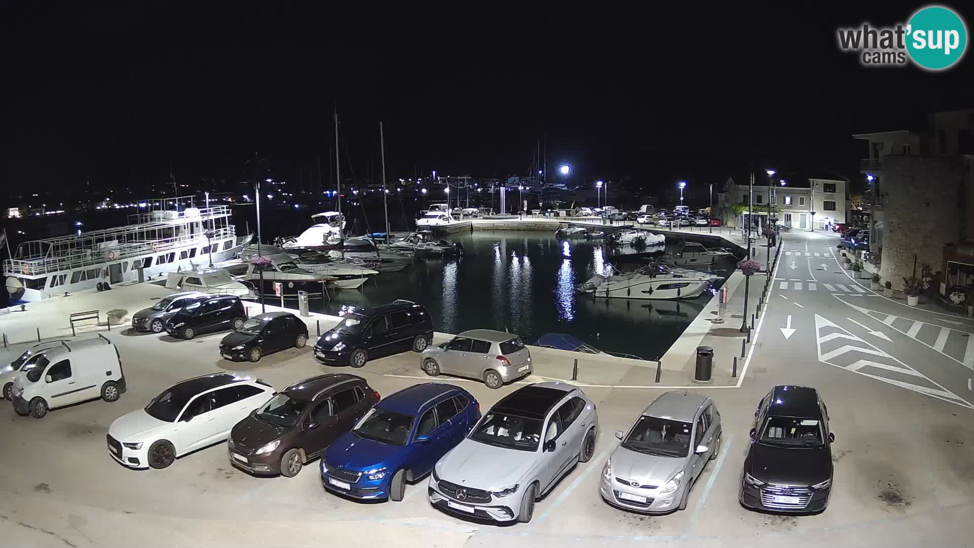 Novigrad | Porporela marina