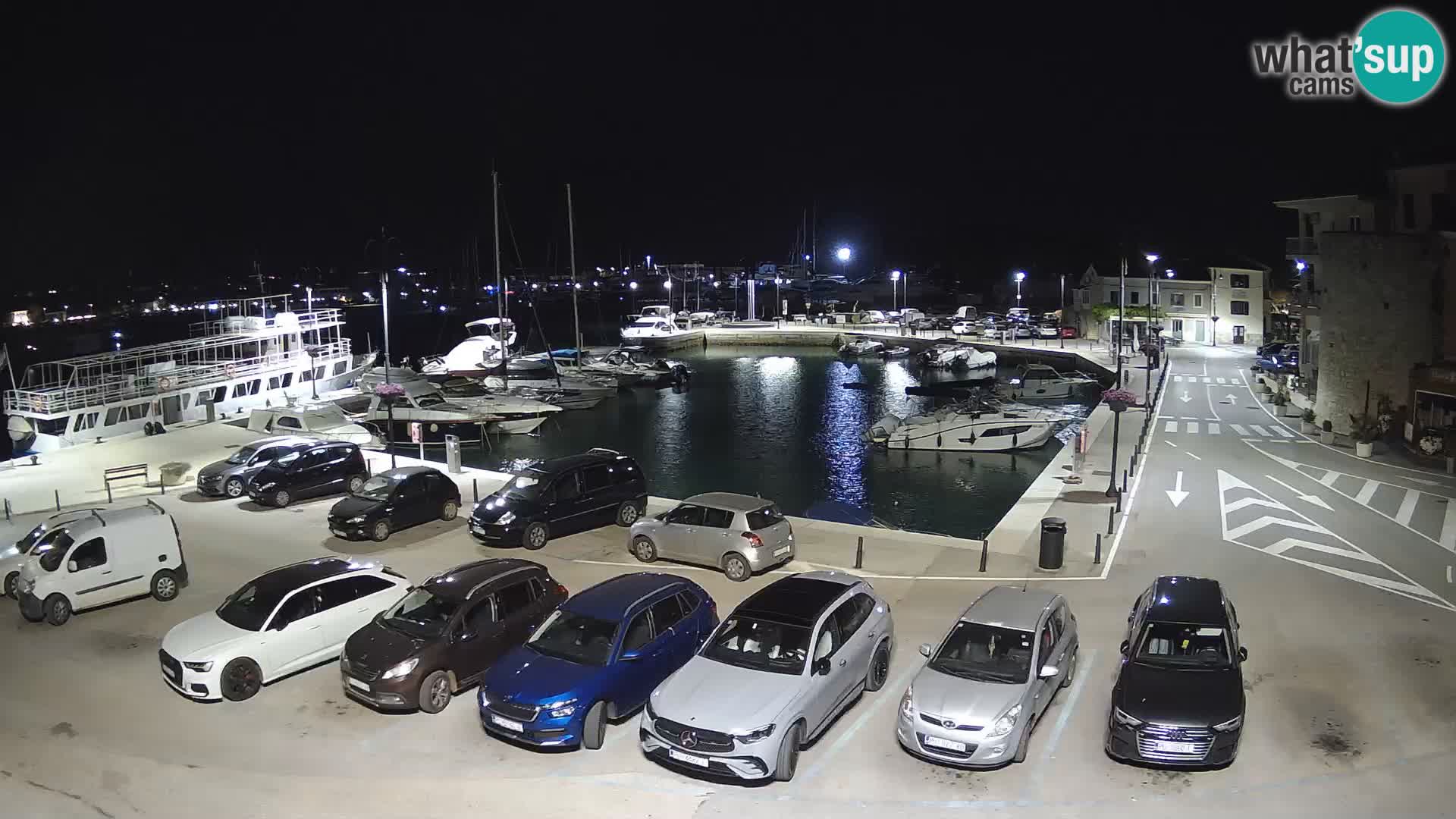 Novigrad | Porporela marina