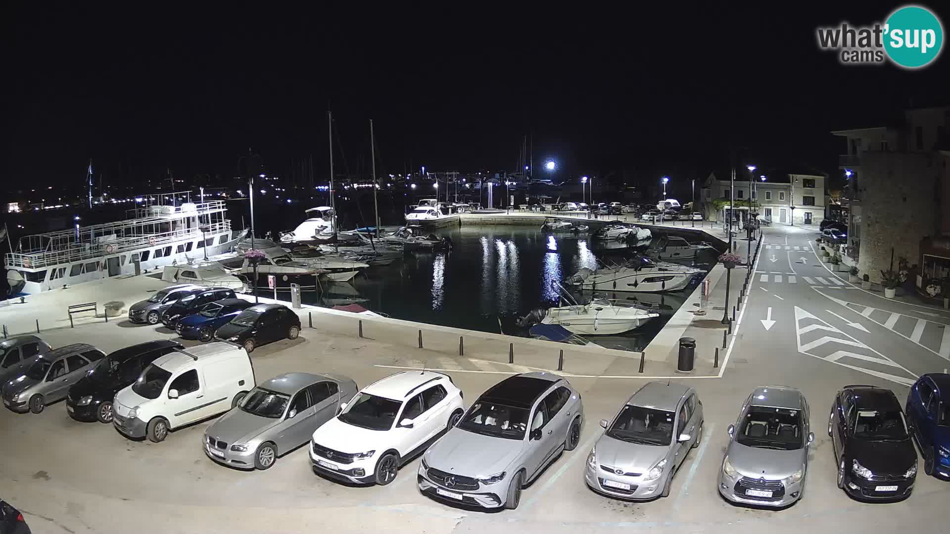 Novigrad | Porporela marina