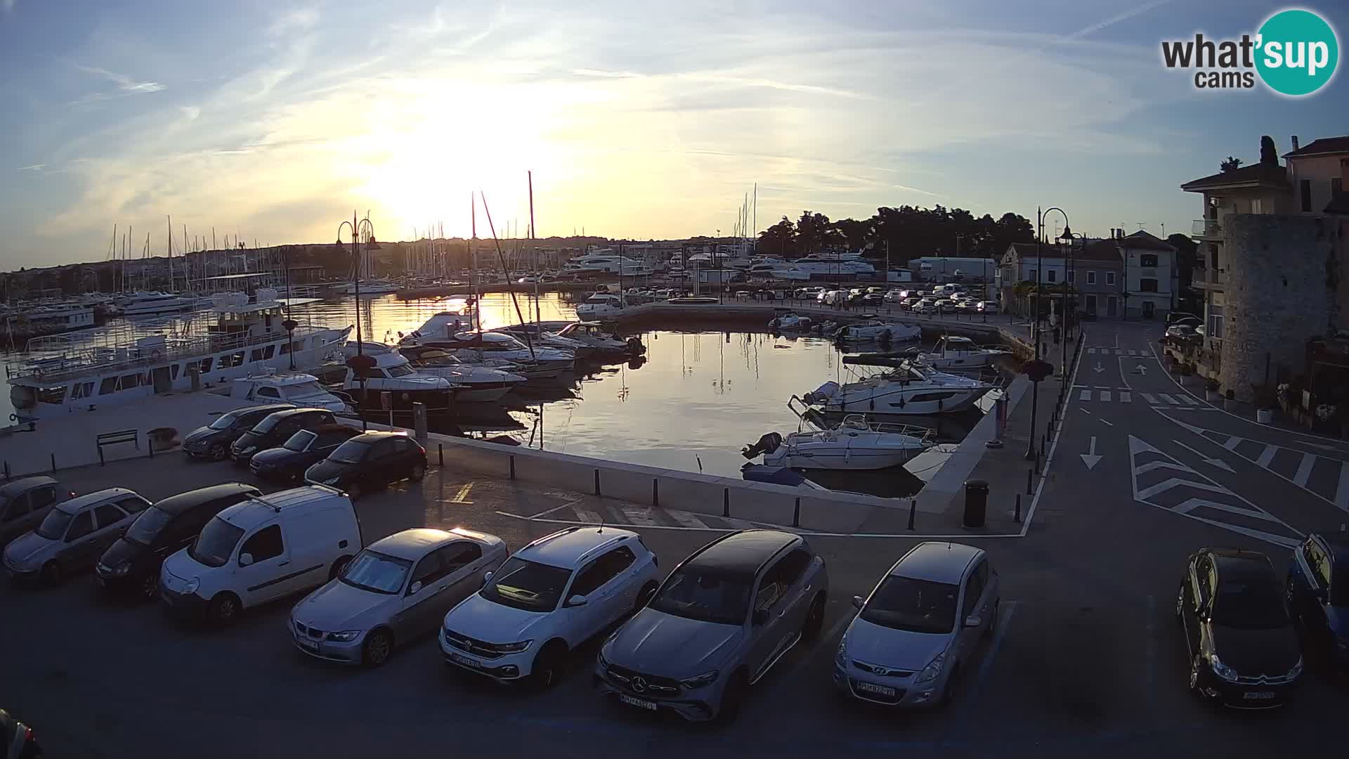 Novigrad | Porporela marina