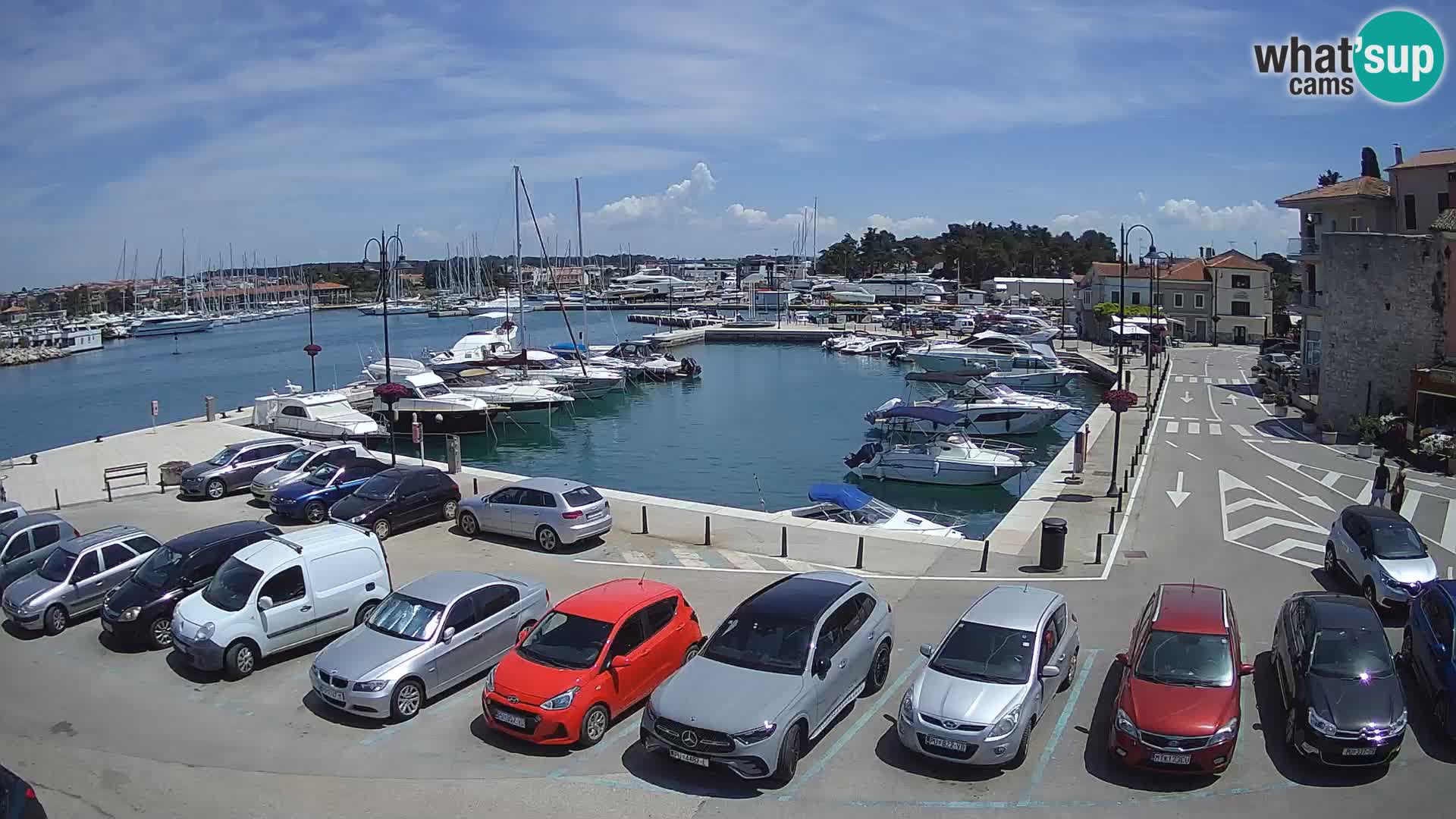 Novigrad | Porporela marina
