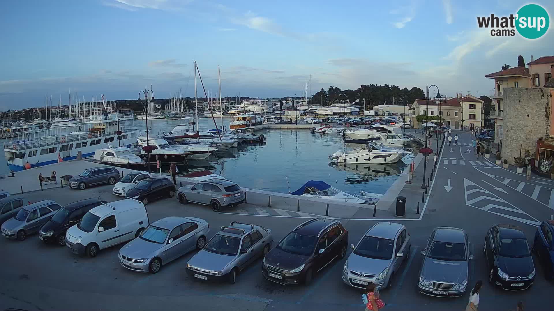 Novigrad | Porporela marina