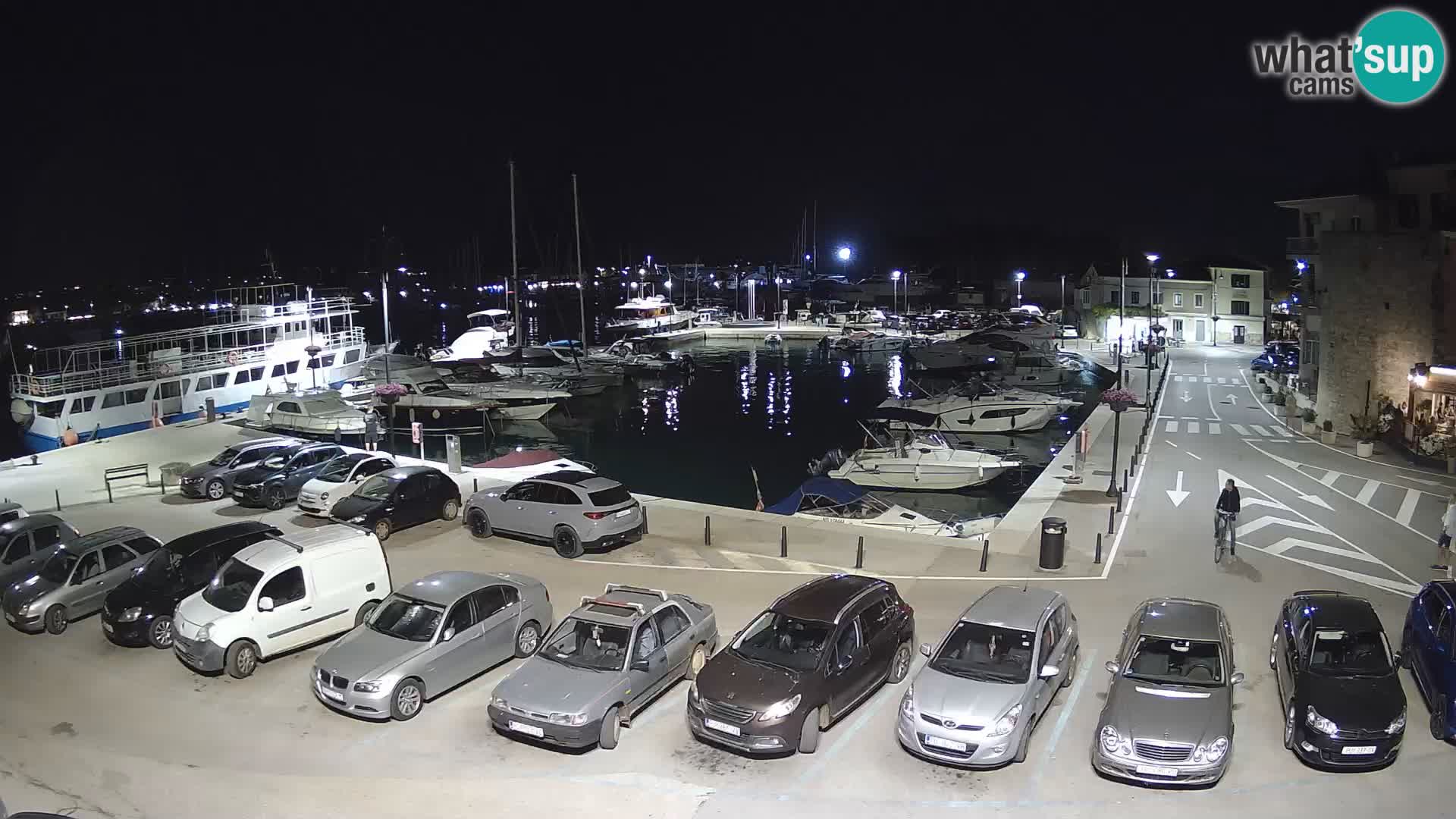 Novigrad | Porporela marina
