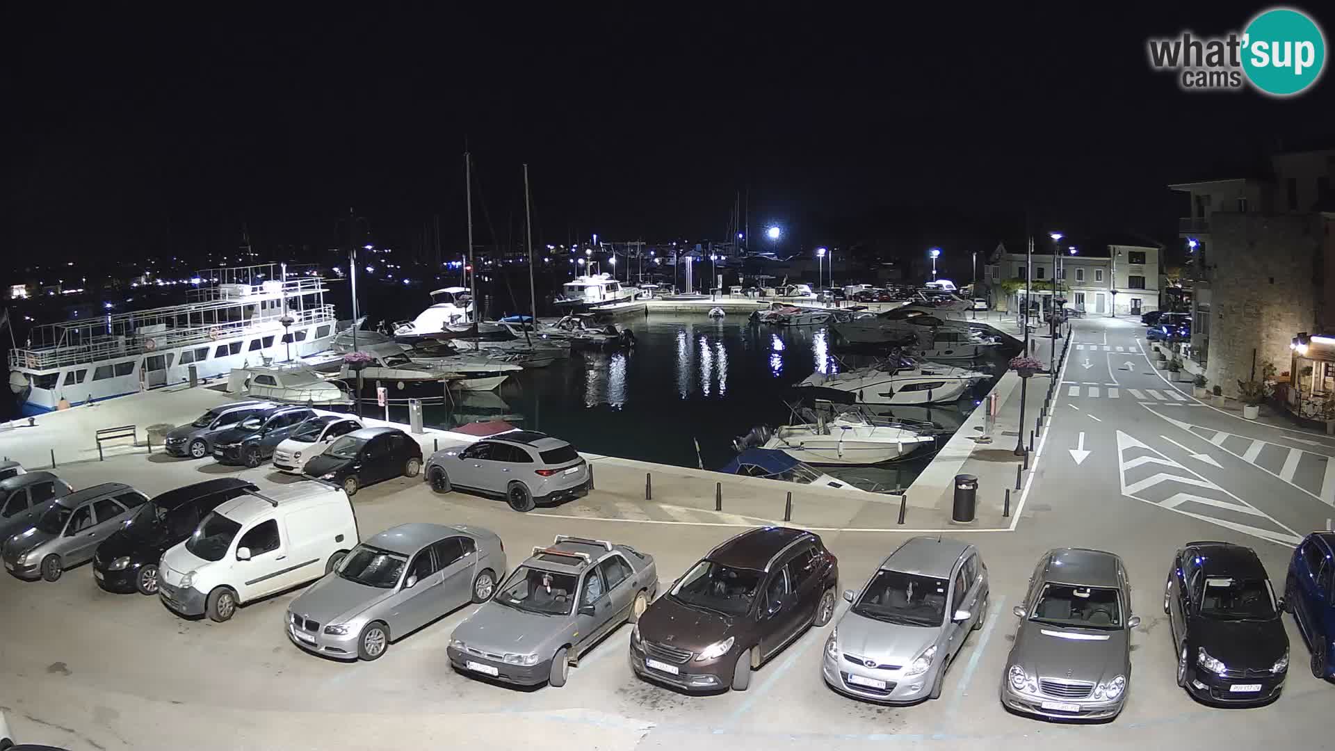 Novigrad | Porporela marina