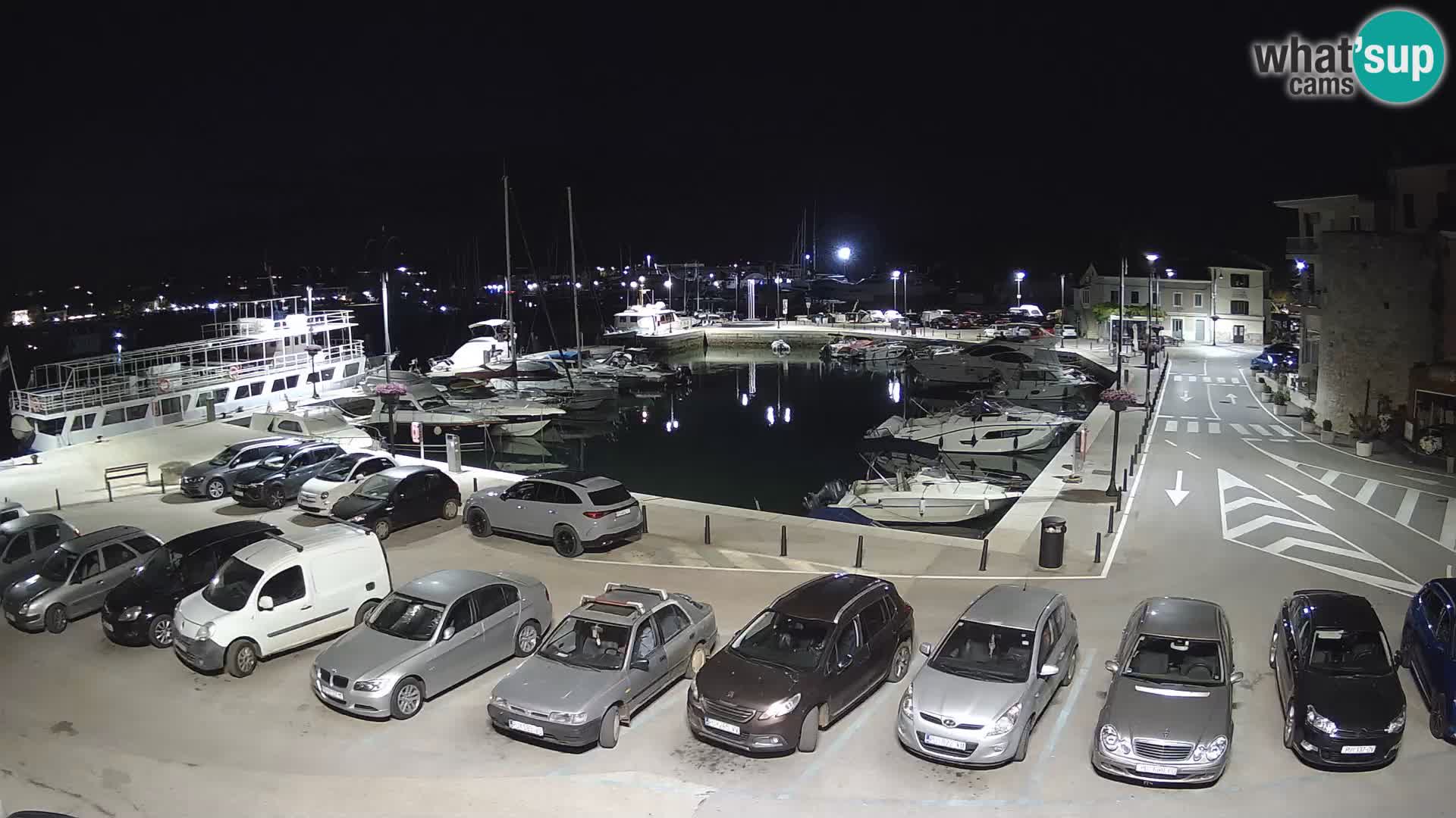 Novigrad | Porporela marina