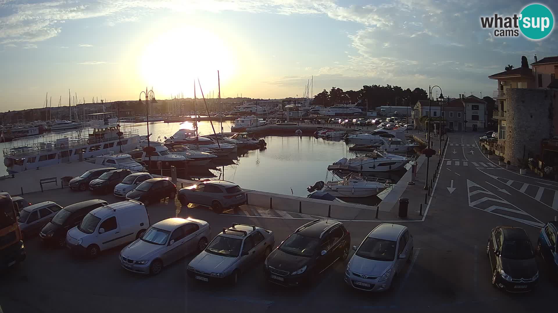 Novigrad | Porporela marina