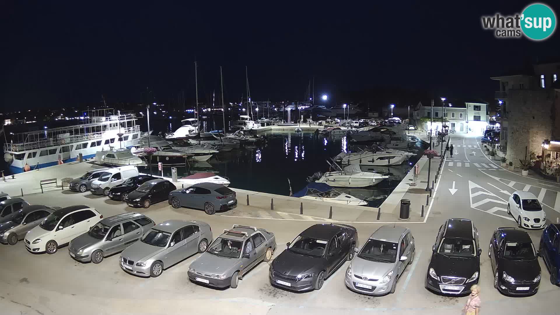 Novigrad | Porporela marina