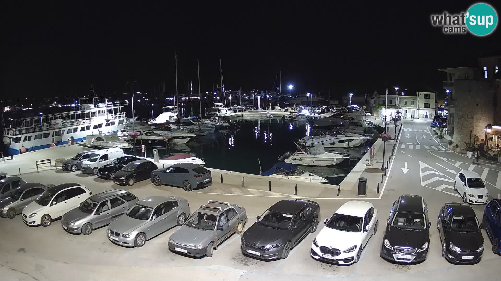 Novigrad | Porporela marina