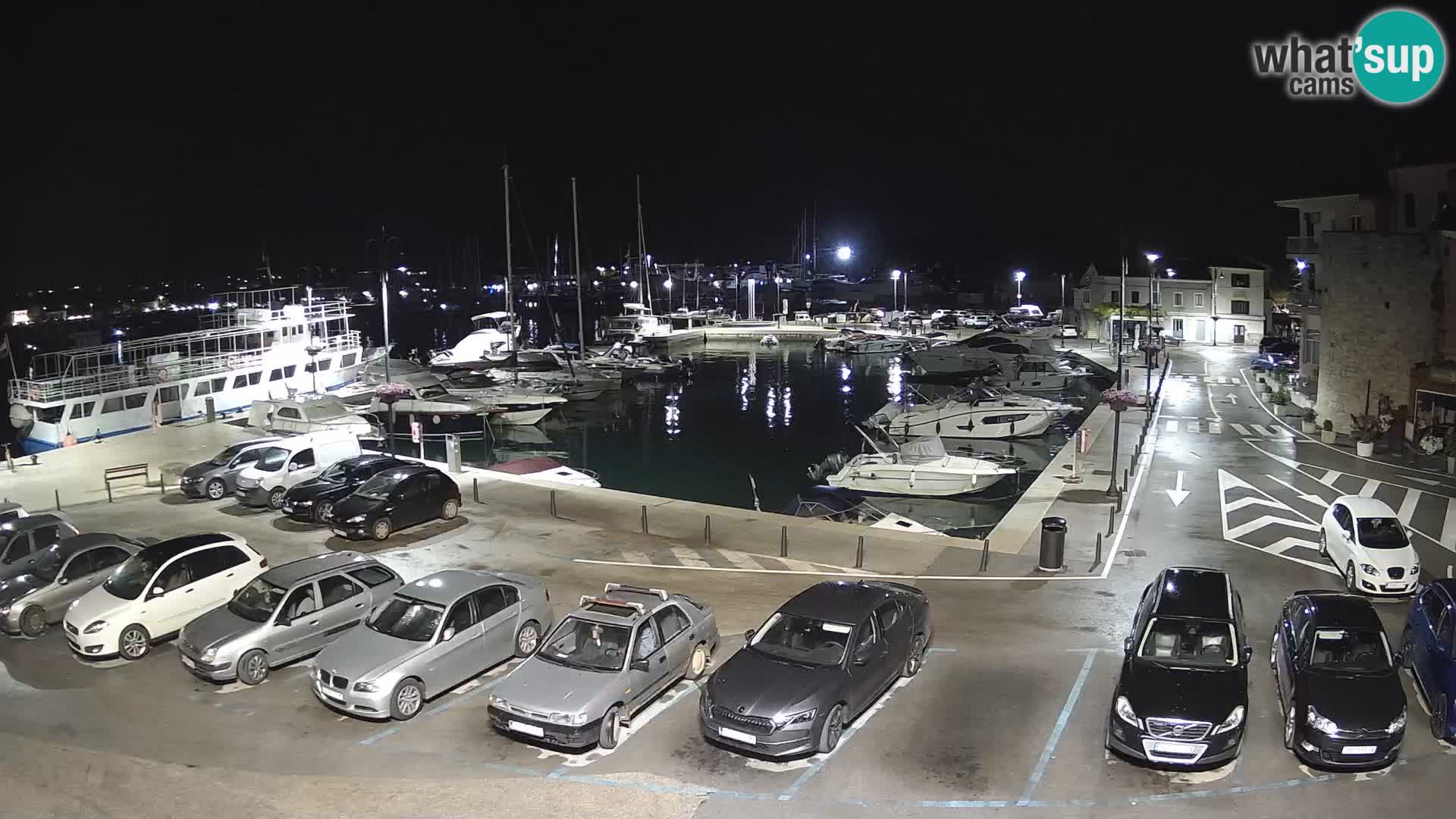 Novigrad | Porporela marina