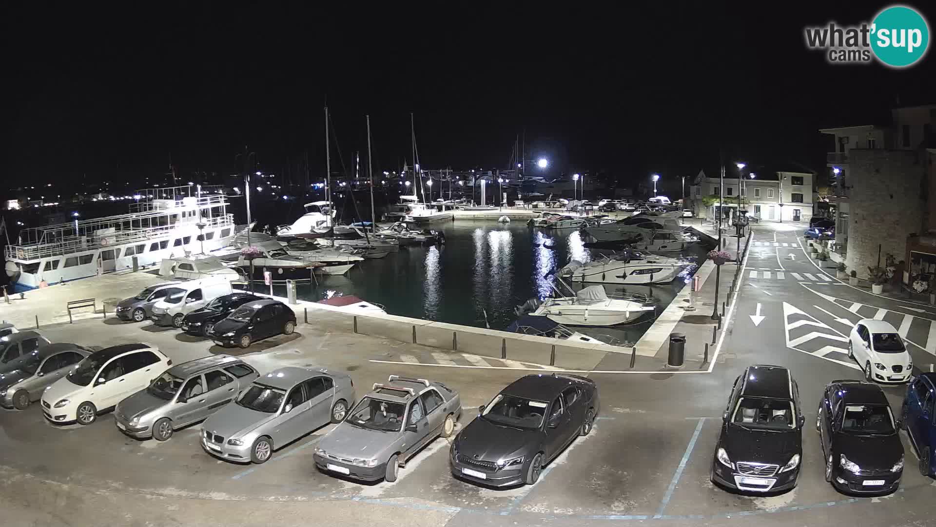 Novigrad | Porporela marina