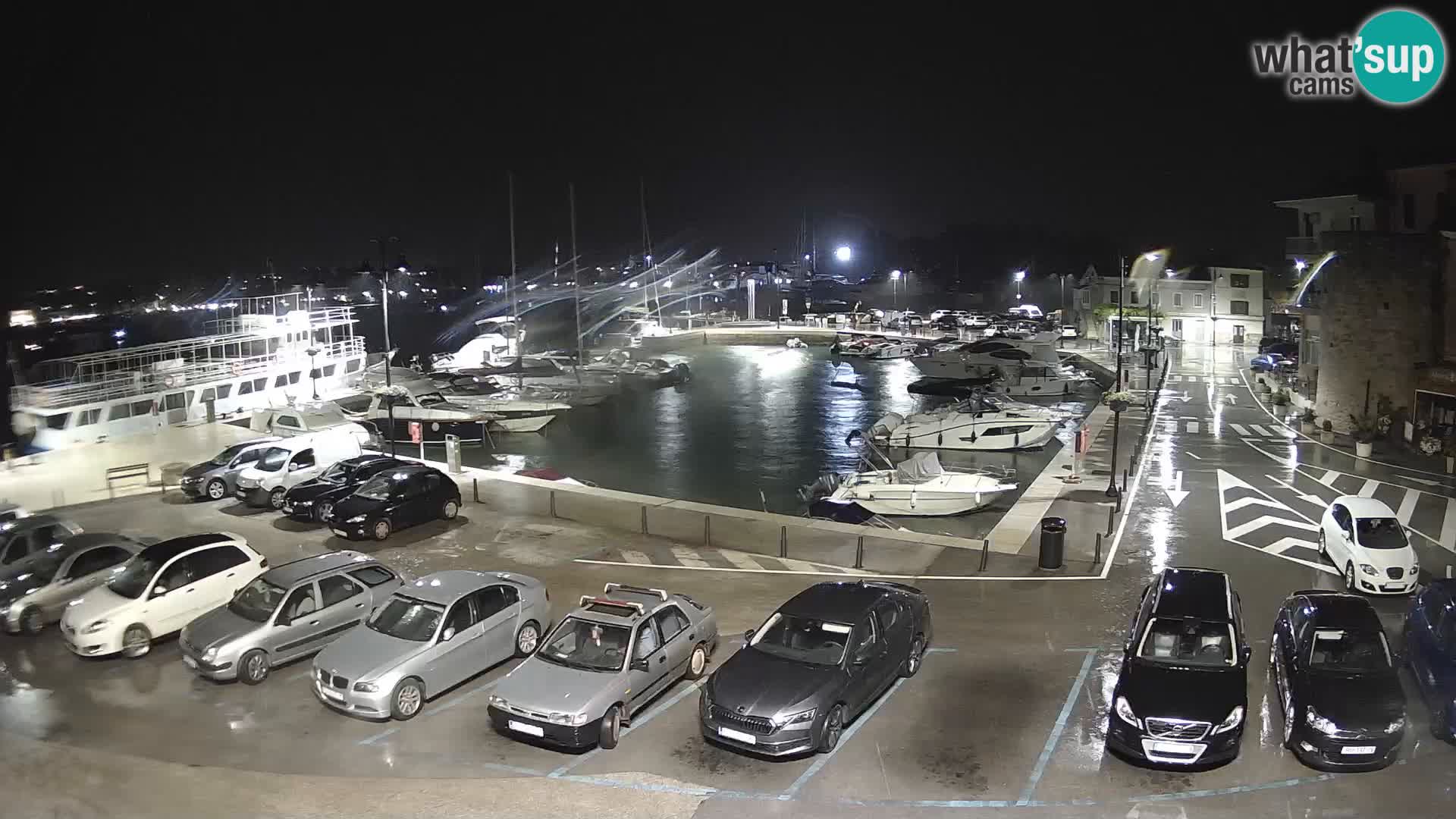 Novigrad | Porporela marina